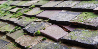 Cannock roof repair costs